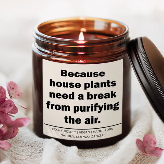 Because house plants need a break from purifying the air Candle